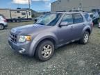 2008 Ford Escape Limited