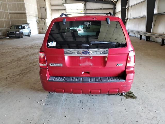 2011 Ford Escape Limited