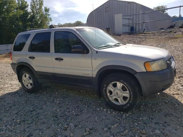 2002 Ford Escape XLT