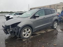 Salvage cars for sale at Fredericksburg, VA auction: 2013 Ford Escape SE