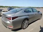 2020 Lexus ES 350