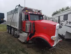 Salvage trucks for sale at Cicero, IN auction: 2014 Peterbilt 388