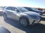 2018 Lexus NX 300 Base