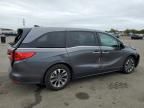 2023 Honda Odyssey EXL