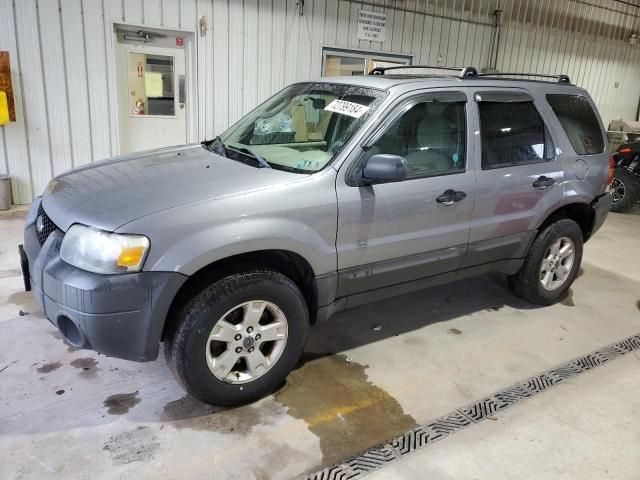 2007 Ford Escape XLT