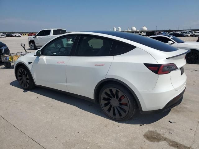 2024 Tesla Model Y