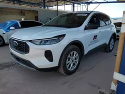 Salvage cars for sale at Phoenix, AZ auction: 2024 Ford Escape Active