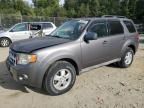 2009 Ford Escape XLT