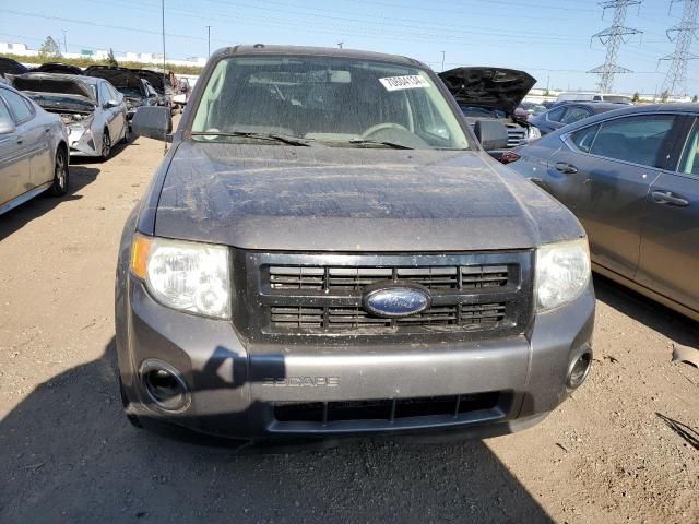 2009 Ford Escape XLT