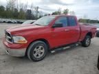 2010 Dodge RAM 1500