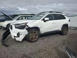 Salvage cars for sale at Assonet, MA auction: 2023 Toyota Rav4 Woodland Edition