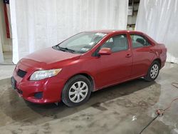 Toyota salvage cars for sale: 2009 Toyota Corolla Base