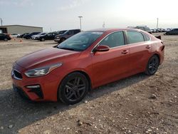 Salvage cars for sale at Temple, TX auction: 2019 KIA Forte EX