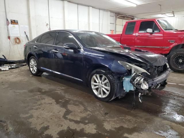 2010 Lexus ES 350