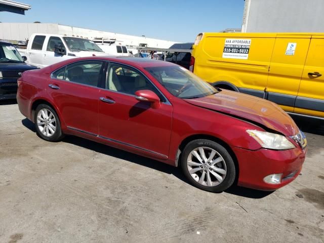 2010 Lexus ES 350