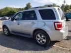 2010 Ford Escape Limited