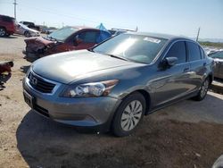 Salvage cars for sale at Tucson, AZ auction: 2009 Honda Accord LX