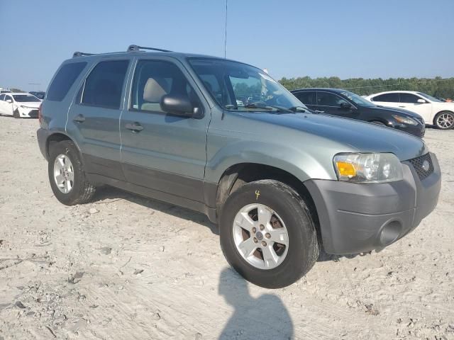 2006 Ford Escape XLT