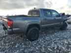 2023 Toyota Tacoma Double Cab