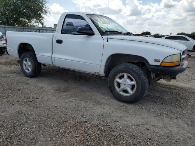 2000 Dodge Dakota