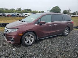 Flood-damaged cars for sale at auction: 2019 Honda Odyssey EX