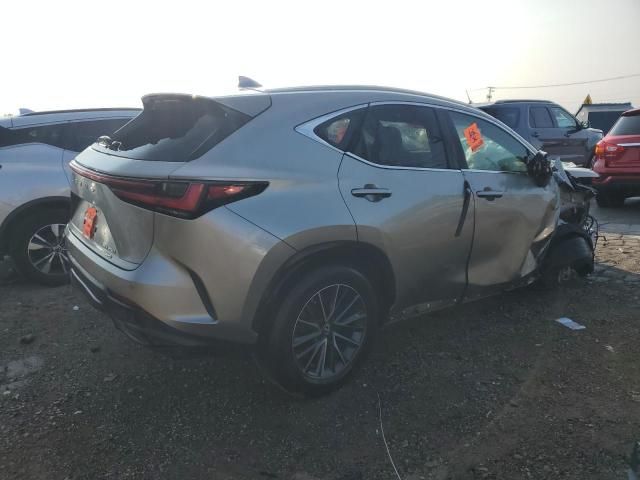 2022 Lexus NX 250