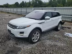 Salvage cars for sale at Memphis, TN auction: 2014 Land Rover Range Rover Evoque Pure Premium