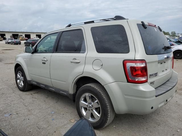 2009 Ford Escape Limited