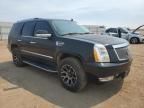 2007 Cadillac Escalade Luxury