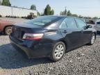 2007 Toyota Camry Hybrid