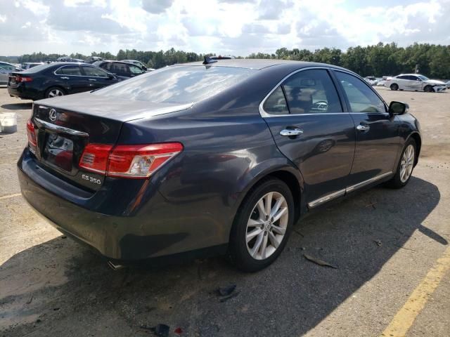 2010 Lexus ES 350