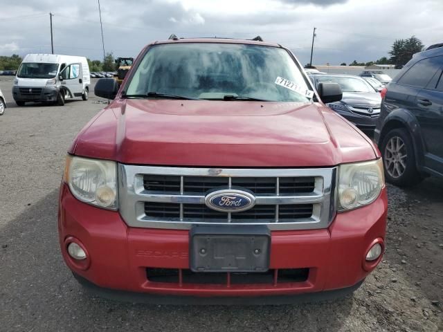 2010 Ford Escape XLT