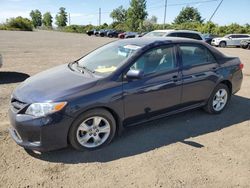 Toyota Vehiculos salvage en venta: 2013 Toyota Corolla Base