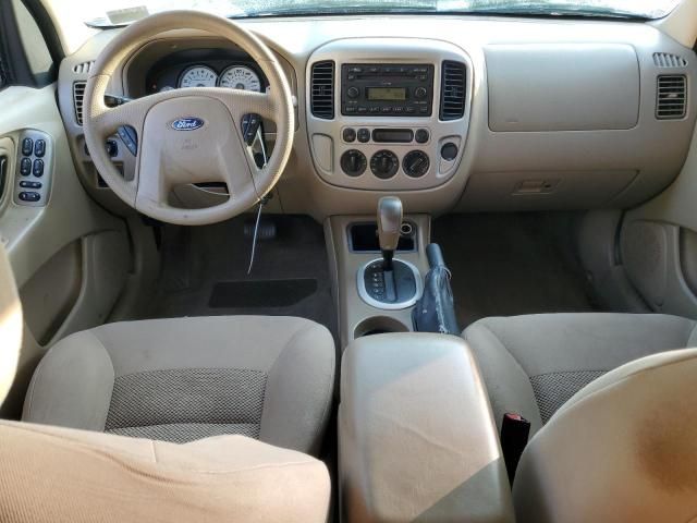 2006 Ford Escape XLT