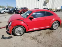 Salvage cars for sale at Tucson, AZ auction: 2014 Volkswagen Beetle