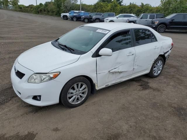 2010 Toyota Corolla Base