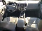 2005 Ford Escape XLT