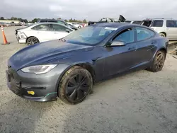 Salvage cars for sale at Antelope, CA auction: 2022 Tesla Model S