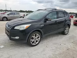 2013 Ford Escape SEL en venta en Arcadia, FL