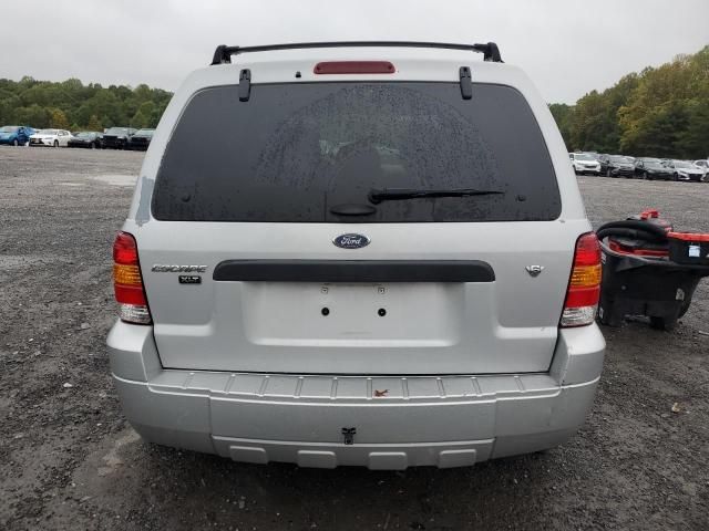 2007 Ford Escape XLT