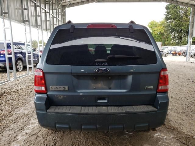 2011 Ford Escape XLT