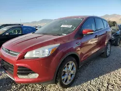 Salvage cars for sale at Magna, UT auction: 2013 Ford Escape SEL