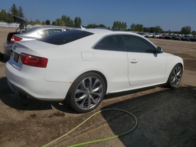 2009 Audi S5 Quattro