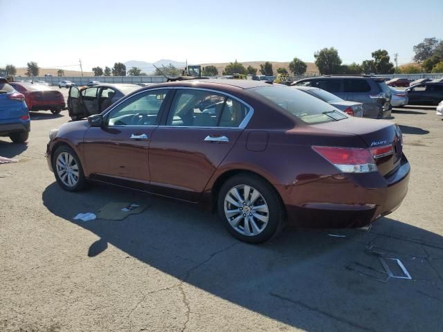 2011 Honda Accord EXL