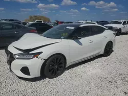 Salvage cars for sale at Taylor, TX auction: 2019 Nissan Maxima S