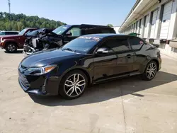 Salvage cars for sale at Louisville, KY auction: 2015 Scion TC