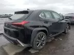 2021 Lexus UX 250H