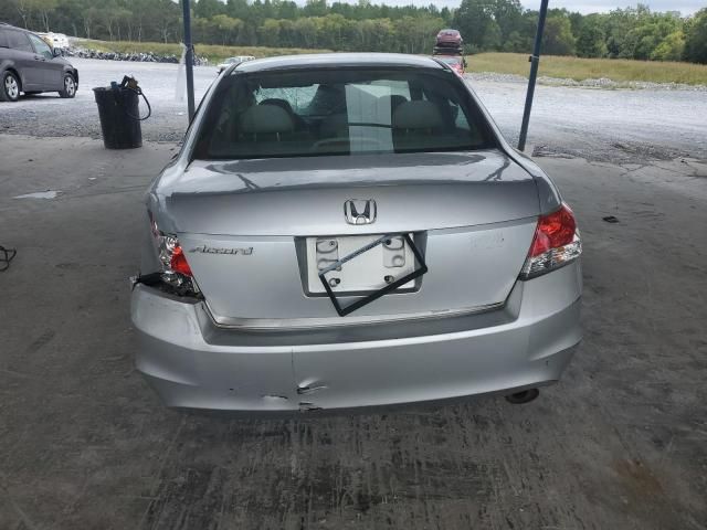 2010 Honda Accord LXP