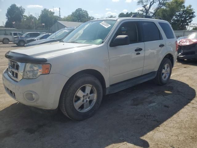 2011 Ford Escape XLT