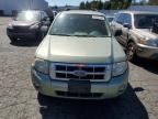 2008 Ford Escape HEV